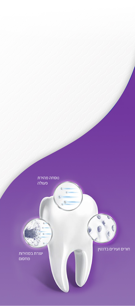 tooth-purple